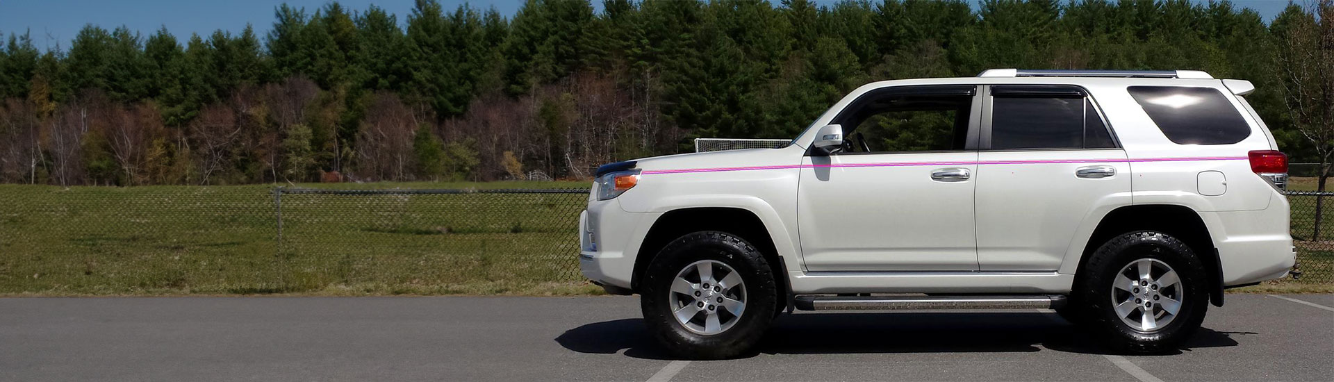 Pink Pinstriping