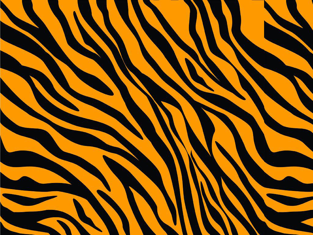 Tiger color seamless pattern. The orange and black stripe texture