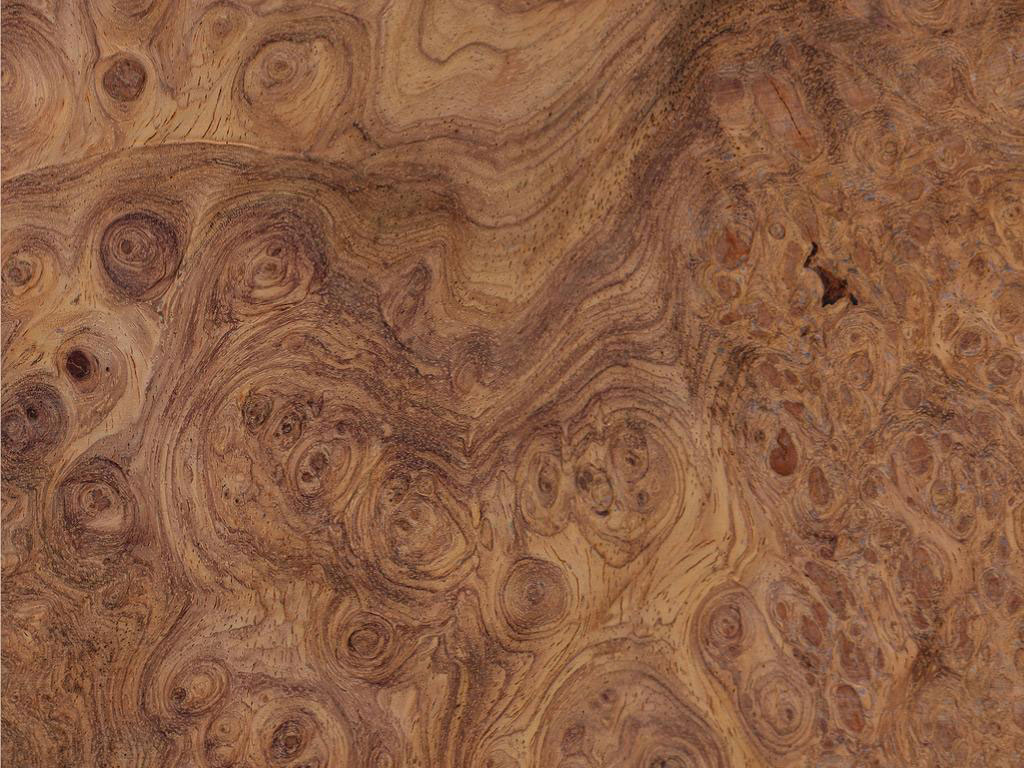 wood grain patterns