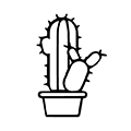 Cactus Craft Vinyl