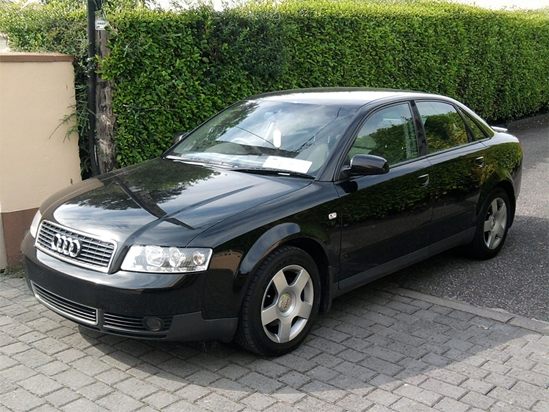 Audi A4 1996-2001 Sedan Camo Pillar Trim