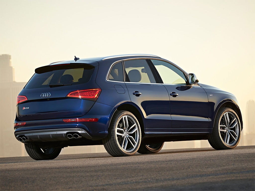 Audi Q5 2009-2017 Carbon Fiber Pillar Trim