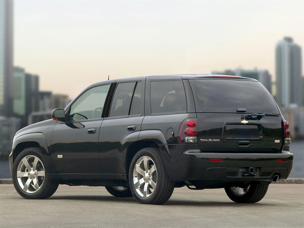 Chevrolet Trailblazer 2002-2009 Brushed Aluminum Black Pillar Trim