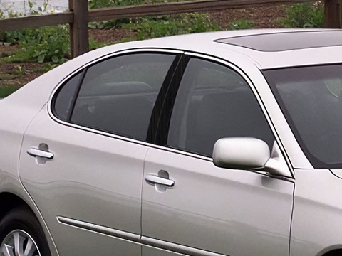 Rtrim™ Lexus ES 1997-2001 Brushed Aluminum Black Pillar Post Trim