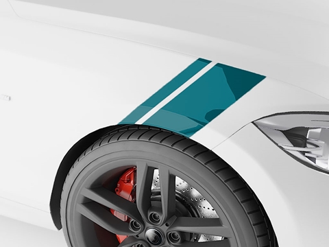 3M™ Cobra Fender Stripes - Teal