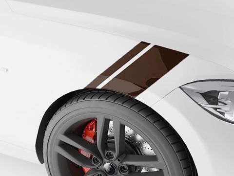 3M™ Cobra Fender Stripes - Brown