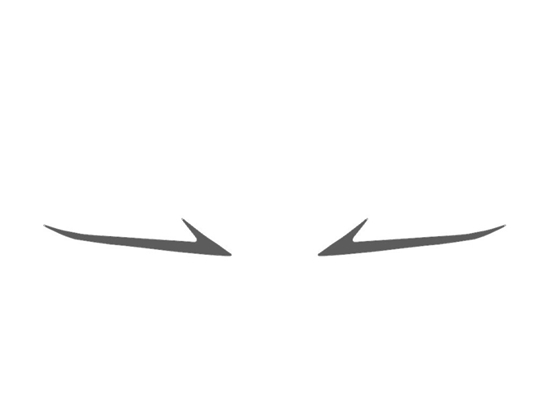 Lexus NX 2018-2021 Fog Light Protection Covers Diagram