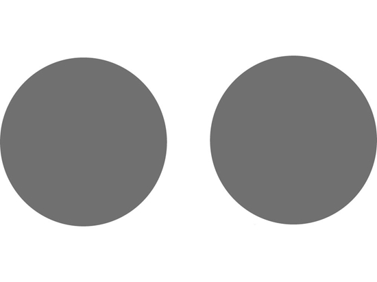 Scion tC 2011-2013 Fog Light Protection Covers Diagram