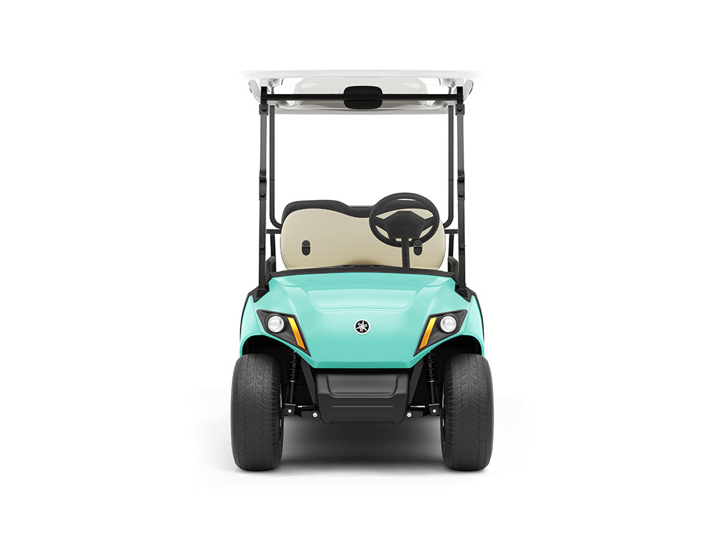 ORACAL 970RA Matte Mint DIY Golf Cart Wraps