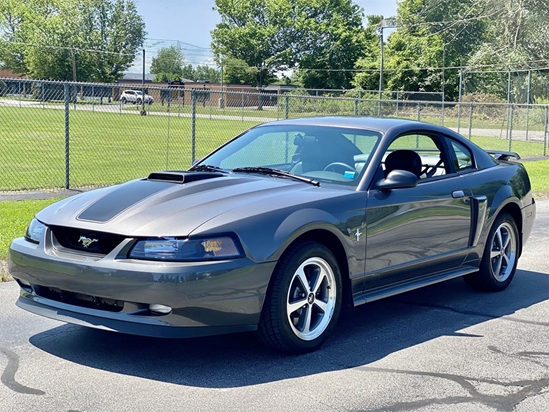 Ford Mustang 1999-2004 Avery Dennison Headlight Protection Kits