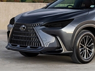 Lexus NX 2022-2025 Headlight Tint