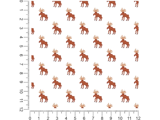 Canadian Wonder Animal 1ft x 1ft Craft Sheets