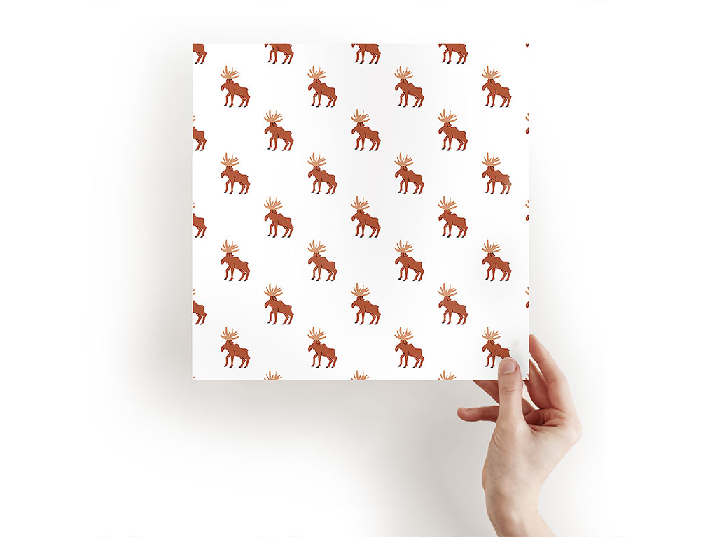 Canadian Wonder Animal Craft Sheets