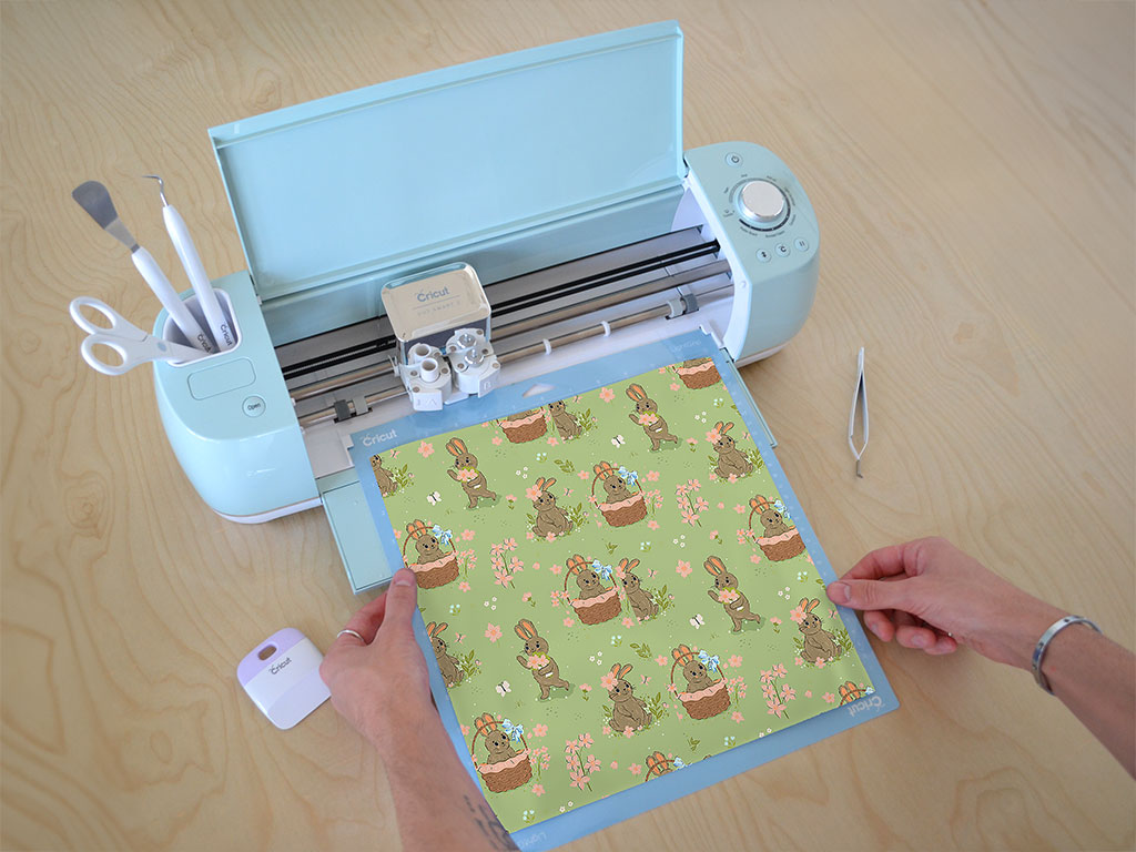 Springtime Presents Animal Cricut Compatible Vinyl