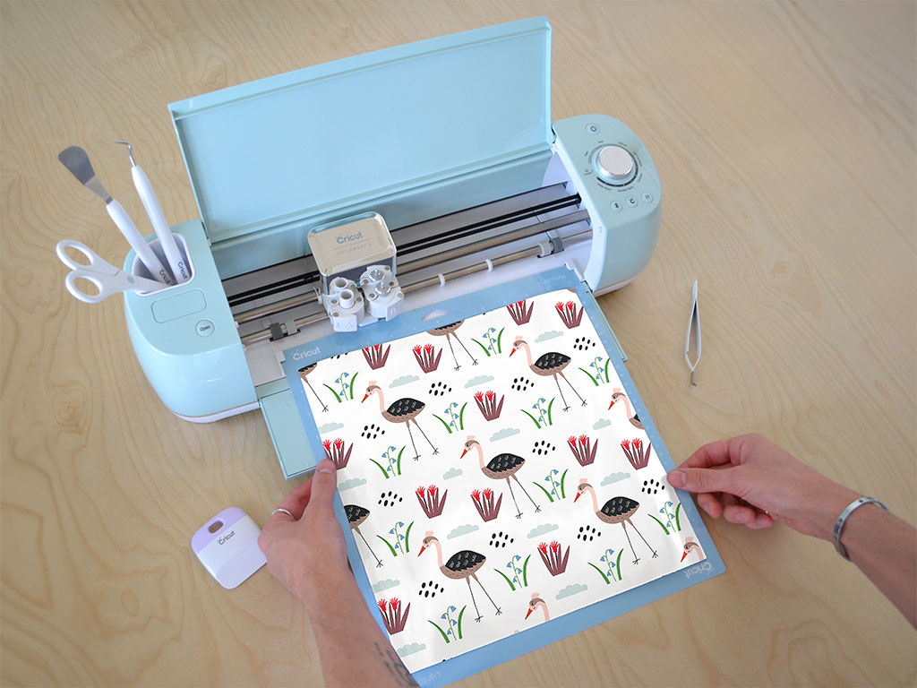 Springtime Strut Bird Cricut Compatible Vinyl