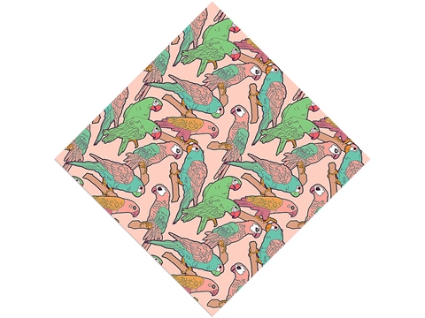 Rcraft™ Parrot Craft Vinyl - Pretty Bird