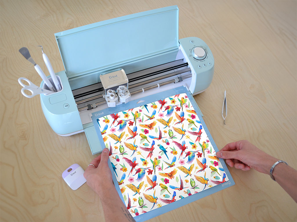 Repeat This Bird Cricut Compatible Vinyl