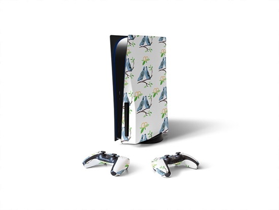 Coming Home Bird Sony PS5 DIY Skin