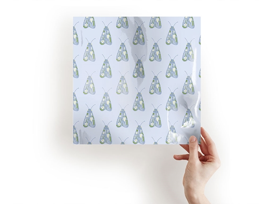 Shy Gentleman Bug Craft Sheets