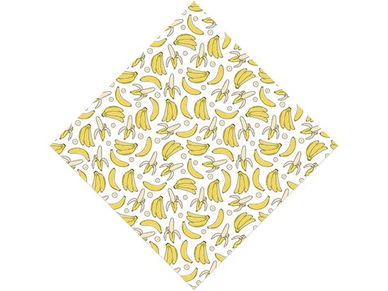 Bold Burro Fruit Vinyl Wrap Pattern