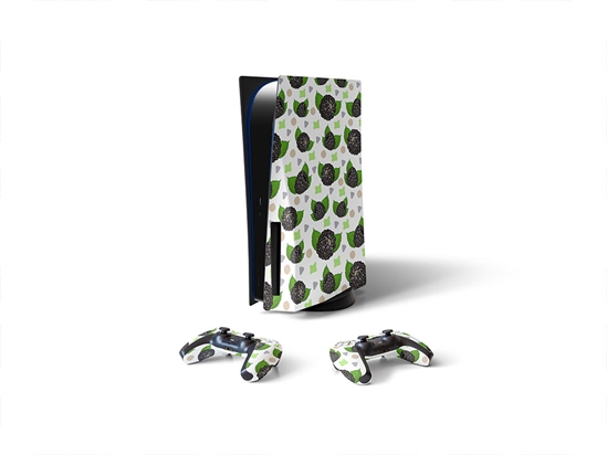 Big Easy Fruit Sony PS5 DIY Skin