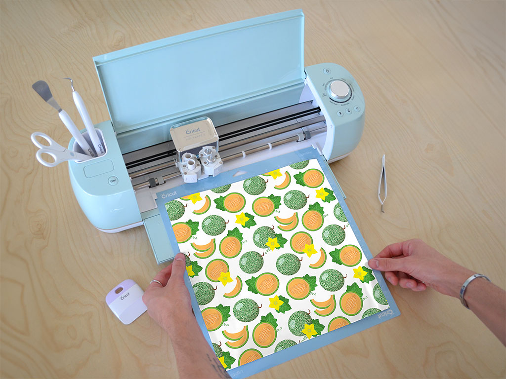 Olympic Express Fruit Cricut Compatible Vinyl