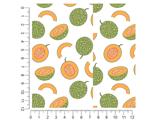 Planters Jumbo Fruit 1ft x 1ft Craft Sheets