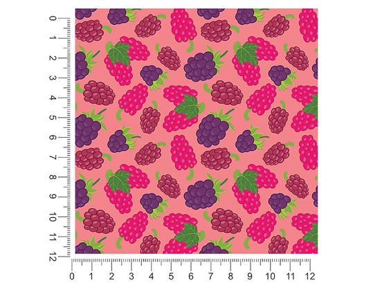 Black and Raspy Fruit 1ft x 1ft Craft Sheets