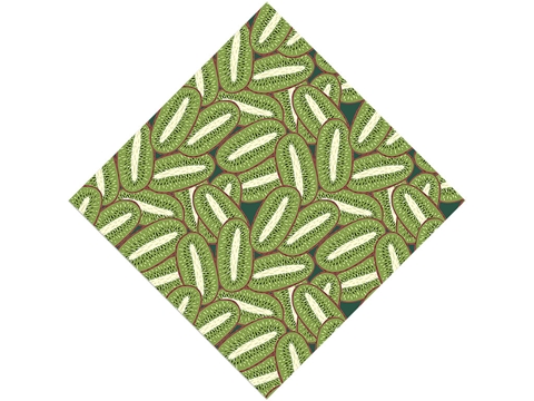 Rcraft™ Kiwi Craft Vinyl - Big Bruno