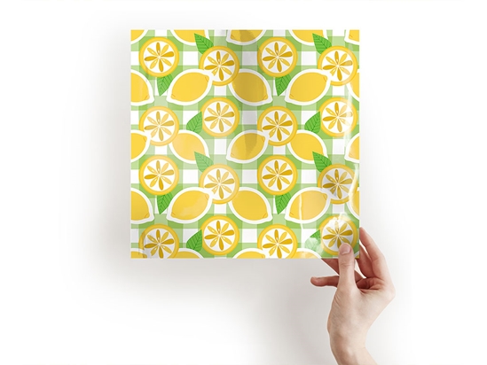 Classic Lemonade Fruit Craft Sheets