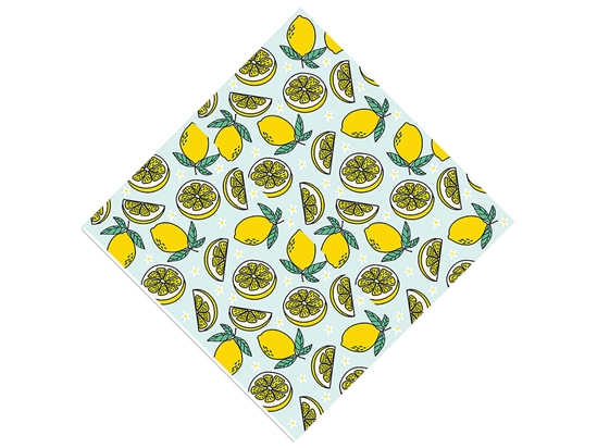 Four Seasons Fruit Vinyl Wrap Pattern