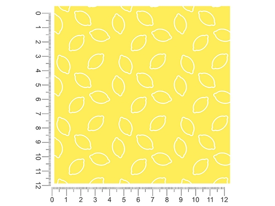 White Outline Fruit 1ft x 1ft Craft Sheets