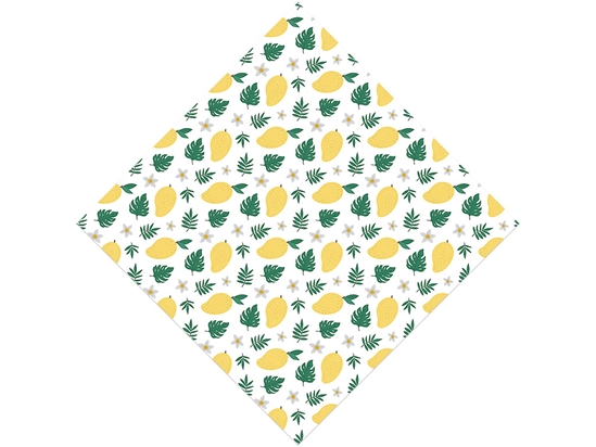 Gold Nugget Fruit Vinyl Wrap Pattern