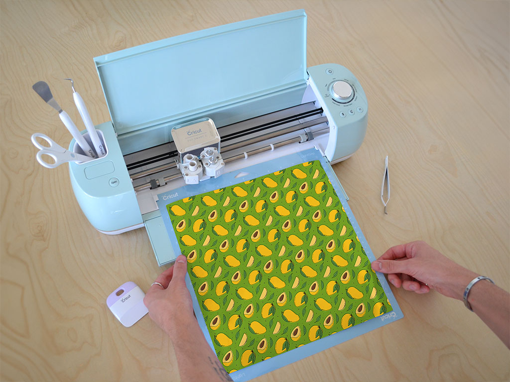 Sophie Fry Fruit Cricut Compatible Vinyl