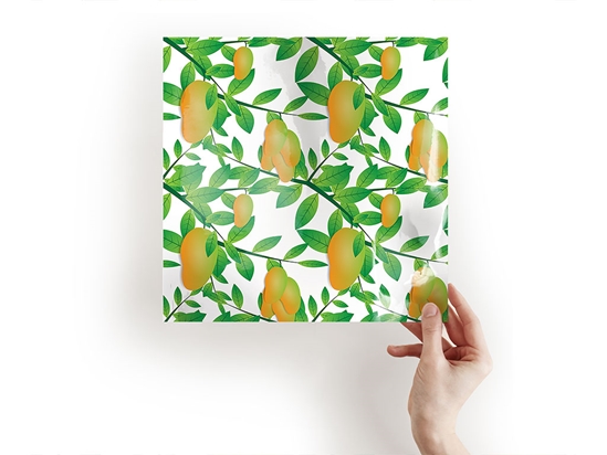 Springfel Tree Fruit Craft Sheets