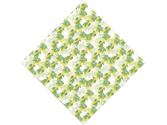 Timeless Anjou Fruit Vinyl Wrap Pattern