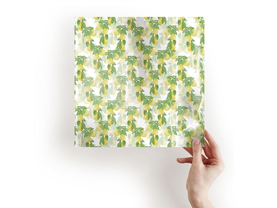 Timeless Anjou Fruit Craft Sheets