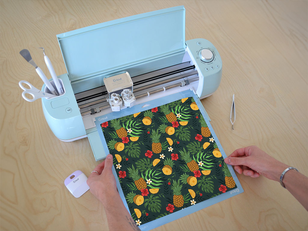 Abacaxi Slices Fruit Cricut Compatible Vinyl