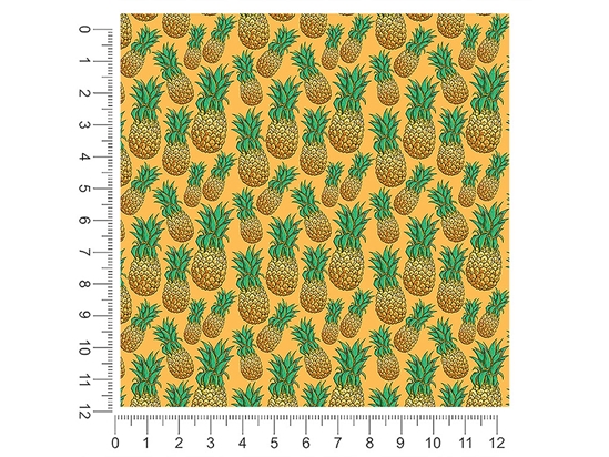 European Fascination Fruit 1ft x 1ft Craft Sheets