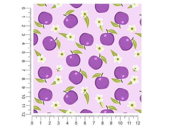 Reine Claude Violette Fruit 1ft x 1ft Craft Sheets