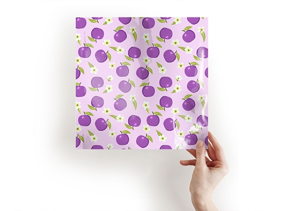 Reine Claude Violette Fruit Craft Sheets