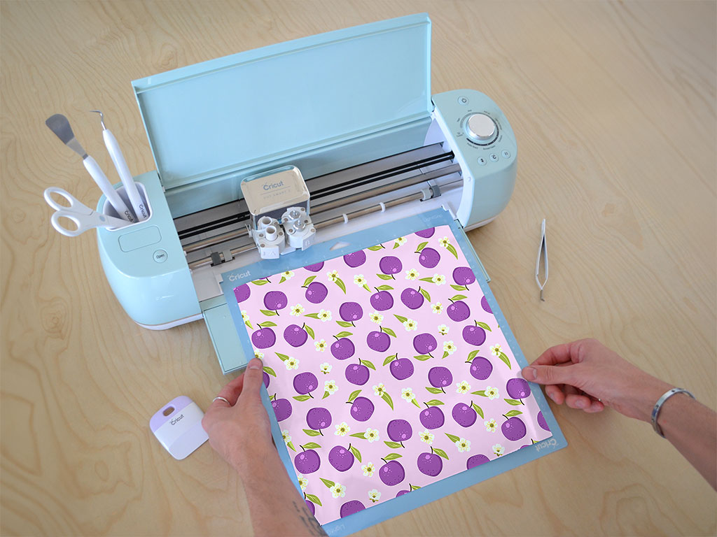 Reine Claude Violette Fruit Cricut Compatible Vinyl