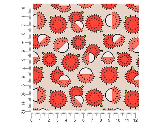 Longan Tang Fruit 1ft x 1ft Craft Sheets