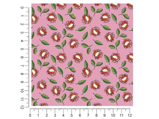 Princess Caroline Fruit 1ft x 1ft Craft Sheets