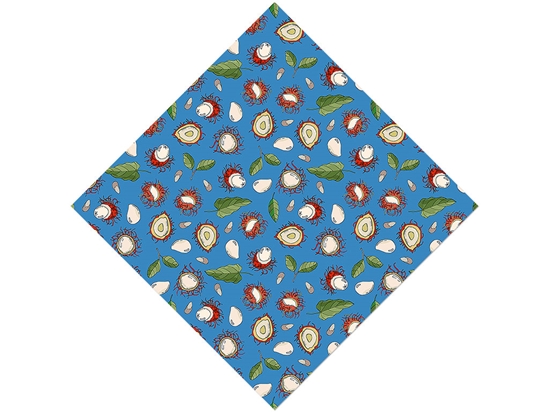 Rapiah Appreciation Fruit Vinyl Wrap Pattern