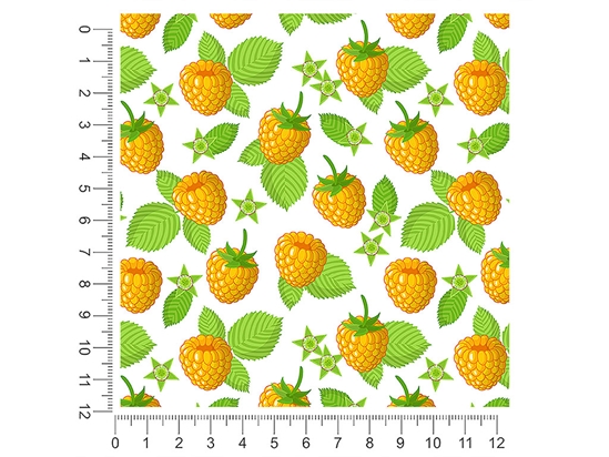 Golden Anne Fruit 1ft x 1ft Craft Sheets