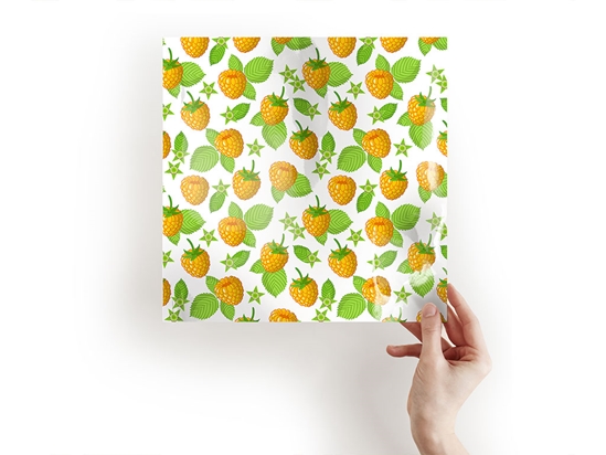 Golden Anne Fruit Craft Sheets