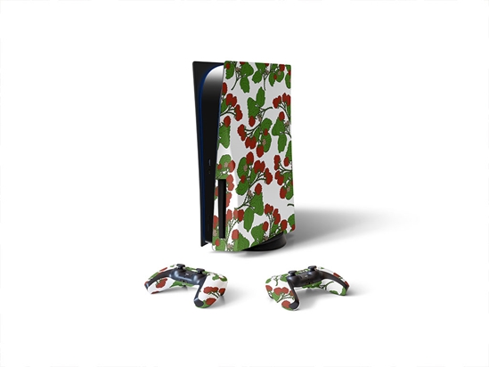 Royalty Bushel Fruit Sony PS5 DIY Skin