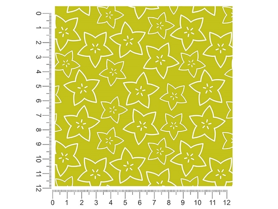 Golden Star Fruit 1ft x 1ft Craft Sheets