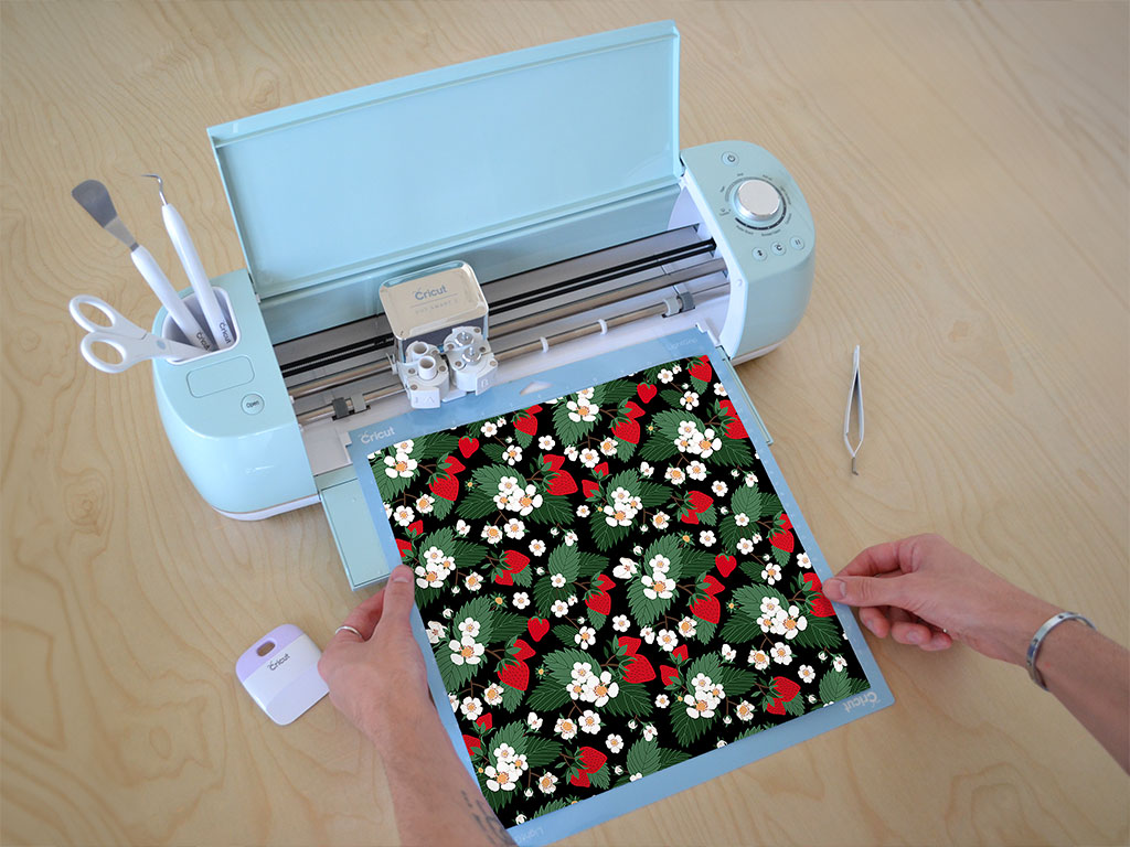 Elsanta Desire Fruit Cricut Compatible Vinyl